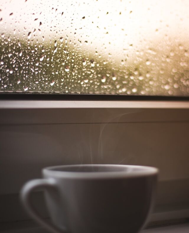 When rainy days are among us, #SimpleLivingMallorca we go and check on your home to make sure there's no floods or any damages caused and always update you on the situation 🌧️🔧⁠
.⁠
.⁠
.⁠
.⁠
⁠
#spain #mallorca #seaside #mediterraneanliving⁠
#mindfulliving #thehappynow #consciousconsumer #sustainableliving #slowliving #simplicity #simple #lessismore #slowlife #minimalist #healthyliving #allnatural⁠
#weather⁠
#property