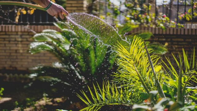 At #SimpleLivingMallorca we’re passionate about keeping your garden radiant in every
season.❄️☀️
Winter might be here, but our gardening
services continue to blossom, ensuring your outdoor space stays charming all year round 🌷#gardeningservices #mallorca #propertymanagement #gardendesign #property